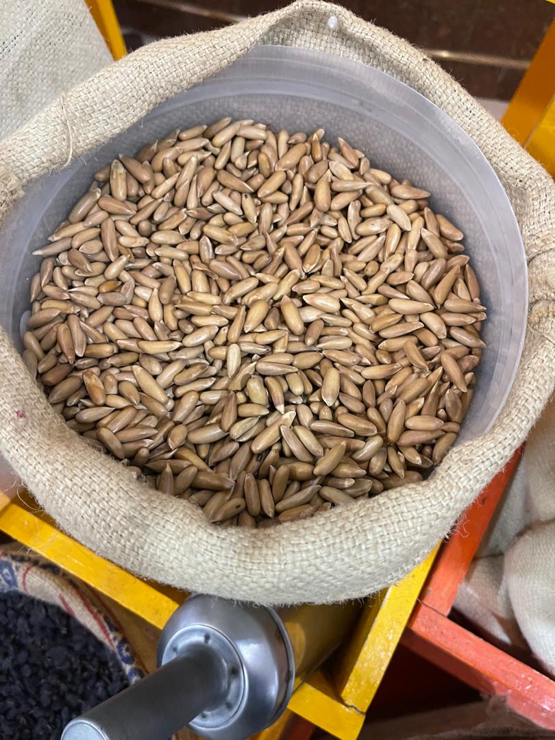 Pine Nuts In Sack